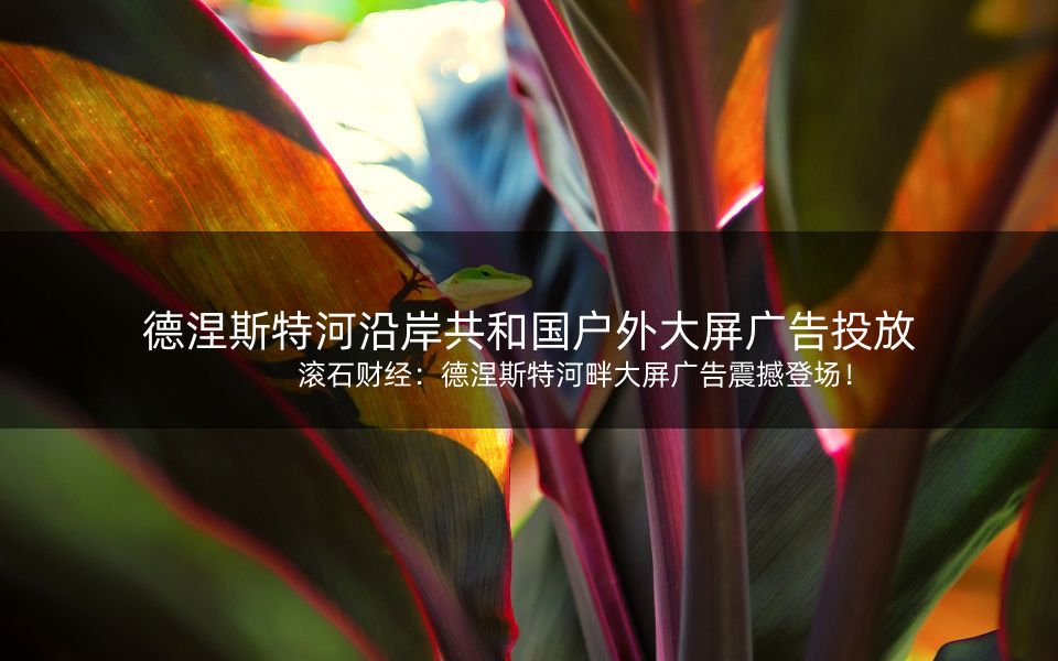 滚石财经：德涅斯特河畔大屏广告震撼登场！